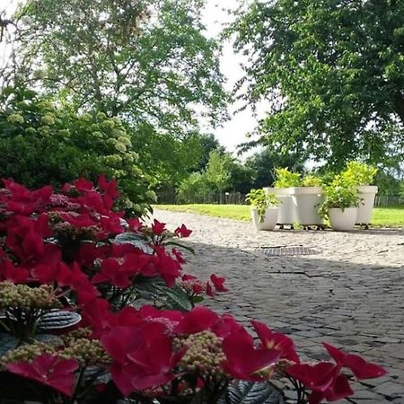 Country House Clos Des Hortensias Blegny Zewnętrze zdjęcie