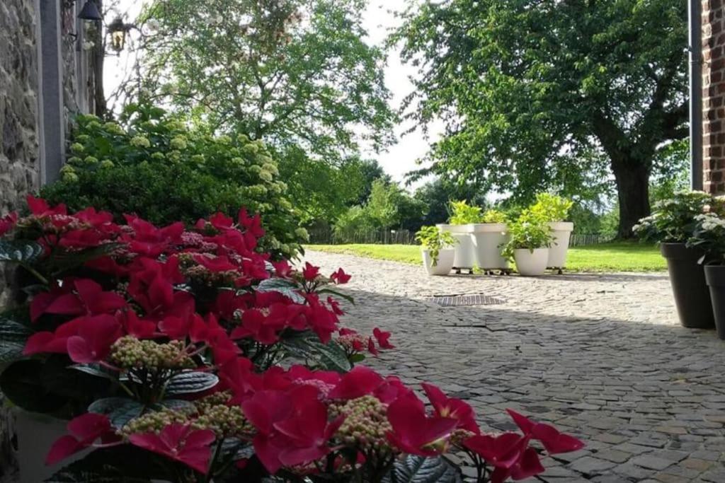 Country House Clos Des Hortensias Blegny Zewnętrze zdjęcie