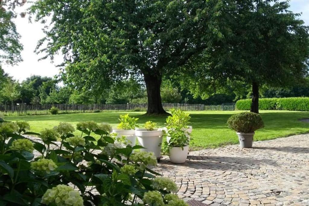 Country House Clos Des Hortensias Blegny Zewnętrze zdjęcie