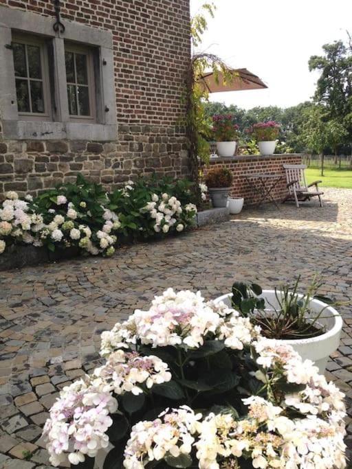 Country House Clos Des Hortensias Blegny Zewnętrze zdjęcie